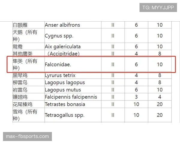判罚取消规则的适用标准：什么情况下可以取消？